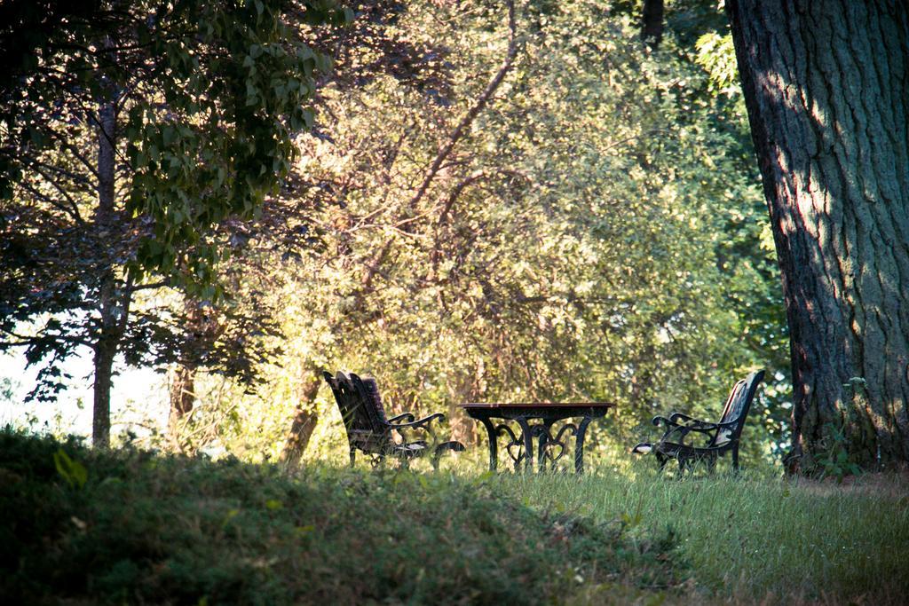 Hotel Im Park ซอร์กวิตี ภายนอก รูปภาพ